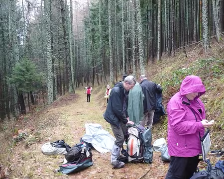 PXL000 Dans la forêt entre Linthal et Obersengern