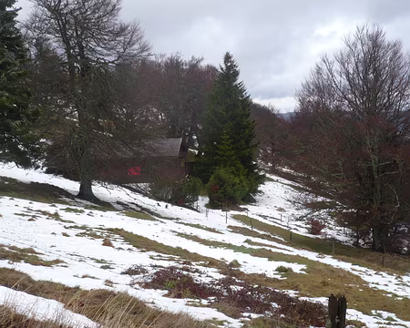 PXL008 Retour du petit Ballon