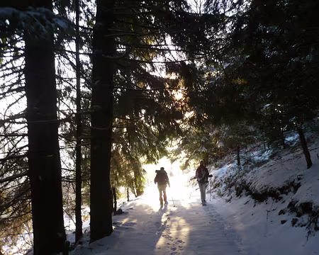 PXL022 Entre le chalet et Obersengern