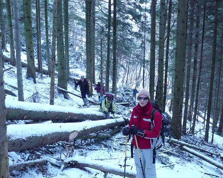 PXL032 Chemin barré près de Eck