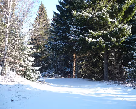 PXL033 Au-dessus de Eck