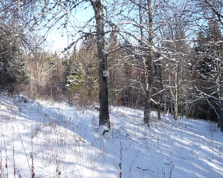 PXL034 Au-dessus de Eck