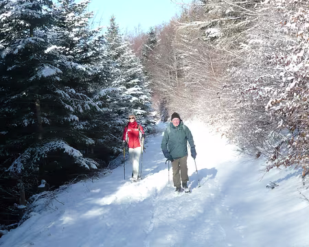 PXL036 Entre Gustiberg et le lac du Ballon