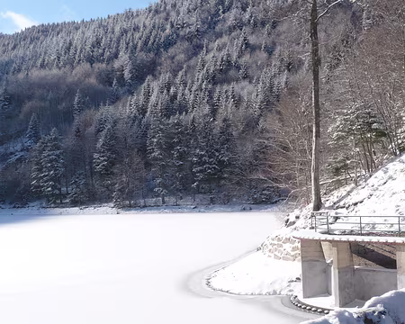 PXL037 Le lac du Ballon