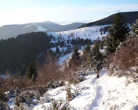 PXL040 Montée au col du Hilsenfirst (vue sur le grand Ballon)
