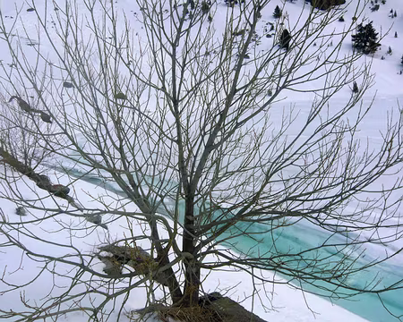 PXL010 Lac de la Restanca