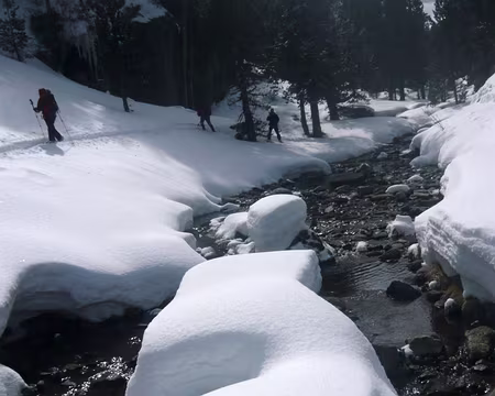 PXL051 Ruisseau de Lossa