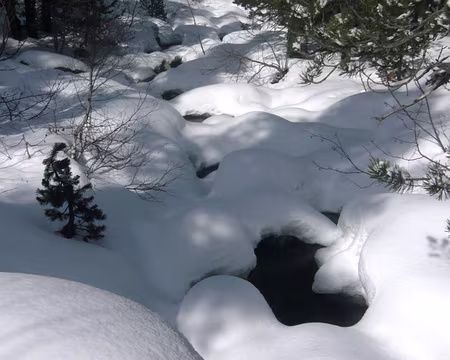 PXL053 marécage sous la neige