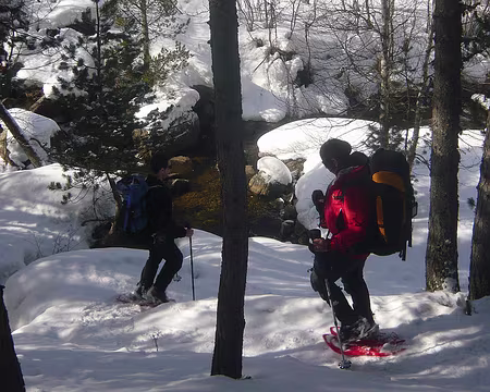 PXL054 On cherche à traverser