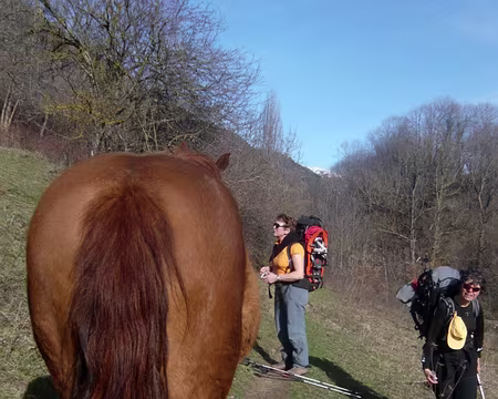 PXL058 sur le sentier