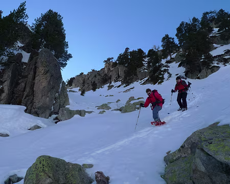 019 Descente délicate en neige gelée.