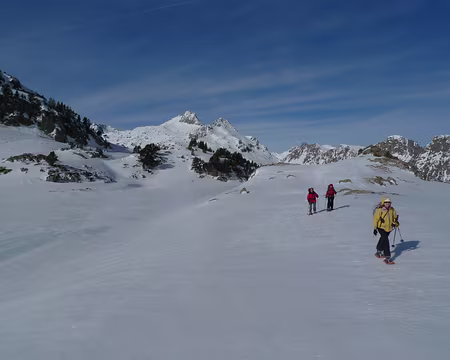 023 C'est plus facile à présent !