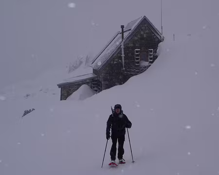 041 Vraiment pas beau.