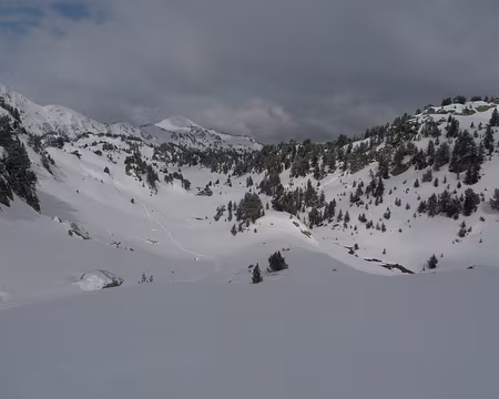 054 Une seule trace sillonne le paysage, la nôtre.