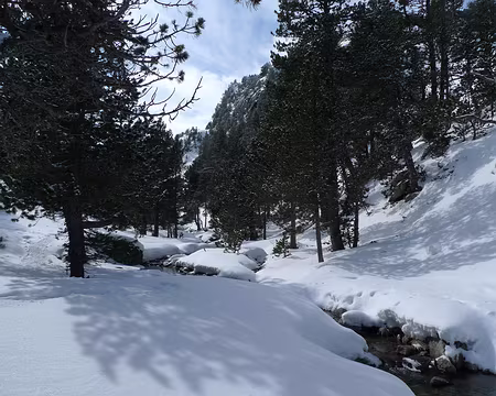 065 Le ruisseau de Lossa.