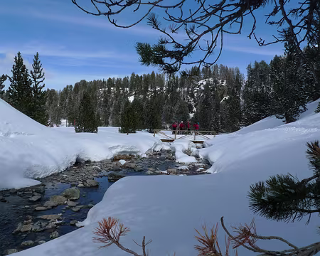 066 Le ruisseau de Lossa.