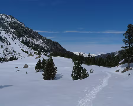 071 Le plateau de Montanheta.