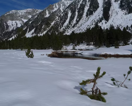 073 Les marécages gelés du plateau de Montanheta.