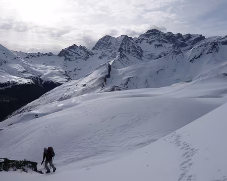 PXL024 Déjà il faut la rejoindre cette arête !