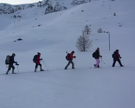 PXL027 Retour au refuge