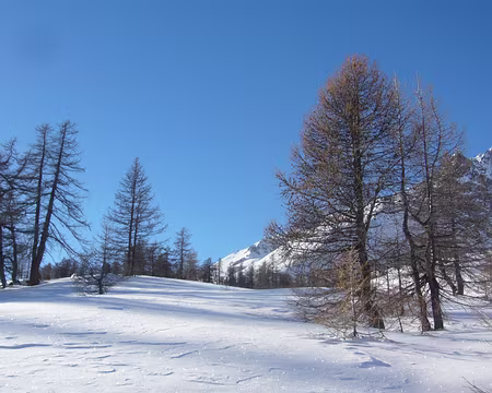 PXL069 Aujourd'hui - coucher tardif oblige -, la randonnée sera légère, sous le scintillement de la neige. Notre objectif: la crête de Baude et les lacs environnants.