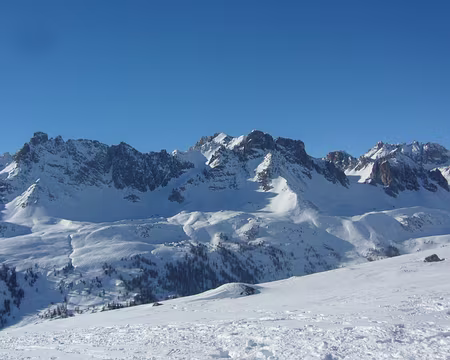 PXL104 Cerces, aussi séduisantes en hiver qu'en été