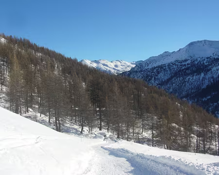 PXL108 Les mélèzes réapparaissent, bientôt les cynorhodons, puis ce sera Névache à nouveau.
