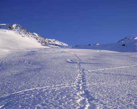 007 Les choses serieuses commencent