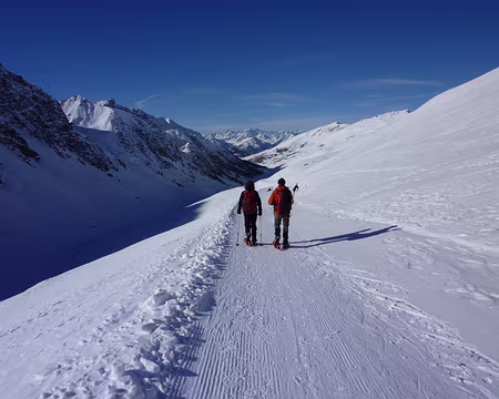 PXL039 Retour dans la vallée.