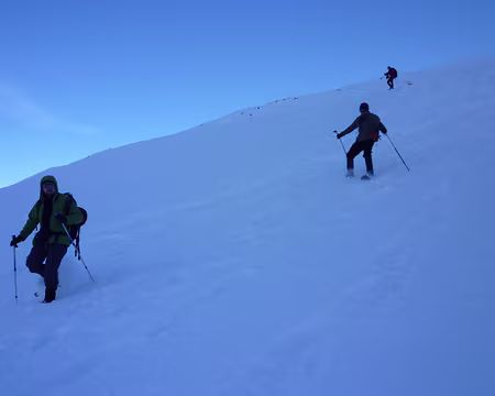 PXL040 Quelques détours sauvages ...