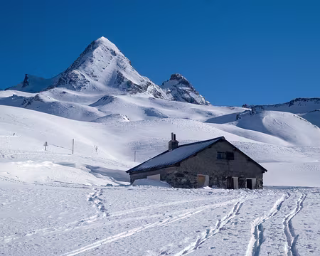 Le Pain de Sucre (3 208 m) Traversée du vallon d’Aigue Agnelle vers le col Agnel (2744m)