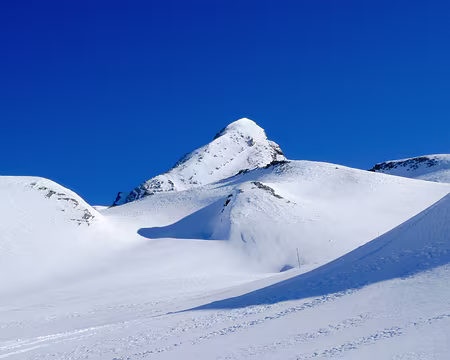 Le Pain de Sucre (3 208 m) Traversée du vallon d’Aigue Agnelle vers le col Agnel (2744m)