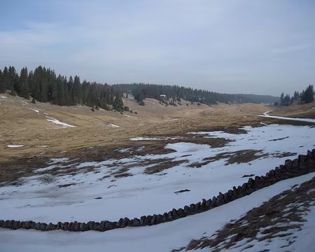 PXL032 Pré aux Veaux