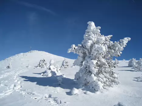 2011-02 Massif Central