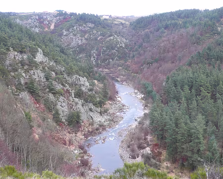 006 La Loire, à une trentaine de kilomètres de sa source, se fraie un chemin dans le paysage.