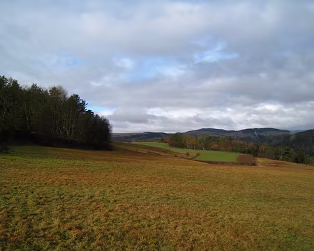 013 Paysage champêtre hivernal.