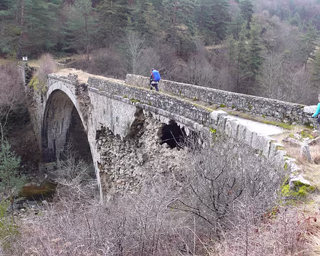 014 Supportera-t-il encore notre passage ? Mieux vaut le franchir un par un...