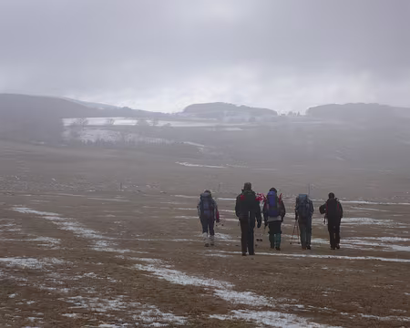 021 Dans la brume, à travers champs.