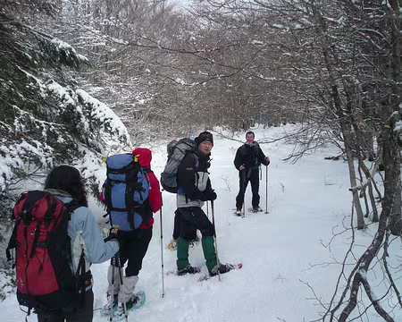 022 Nous mettons enfin les raquettes, sur les pentes boisées du Sépoux.