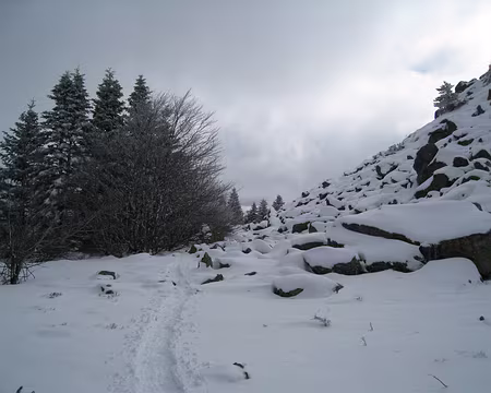 025 Au pied du Séponet.