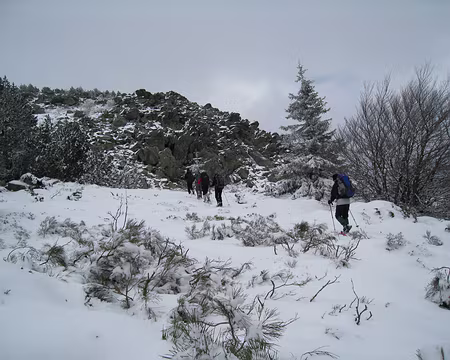 026 Nous enchaînons les sucs, mais nous ne montrons, ce matin, que sur le suc de la Lauzière.
