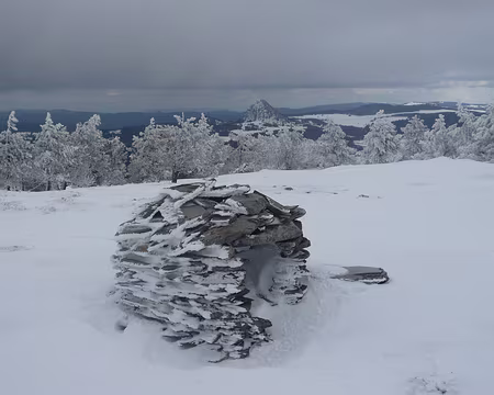 028 Au sommet du suc de la Lauzière. A l'arrière-plan le Gerbier de Jonc.