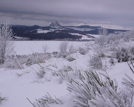031 Nature figée par le gel...