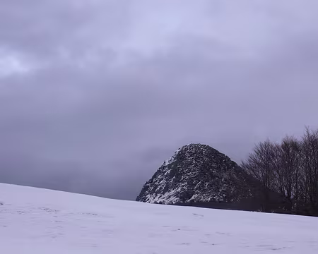 042 Un dernier coup d'oeil vers le géniteur de la Loire.