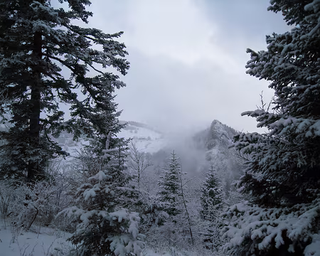 046 ... mais ça se dégage petit à petit.