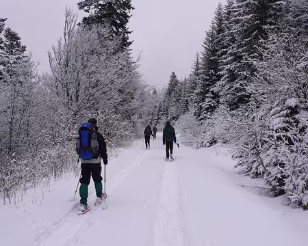 047 Progression à travers bois, dans la neige fraîche.