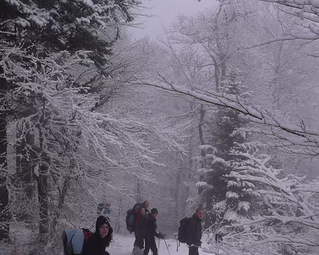 048 Progression à travers bois, dans la neige fraîche.