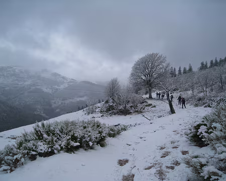 054 Nous préférons le contourner...