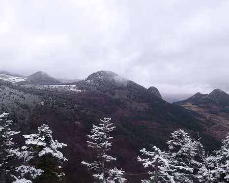 058 La neige se raréfie au fur et à mesure que nous descendons...
