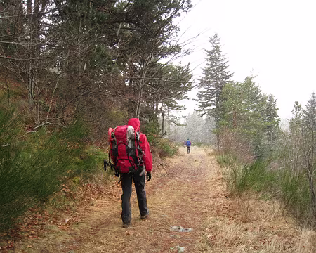 062 La neige retombe à gros flocons.